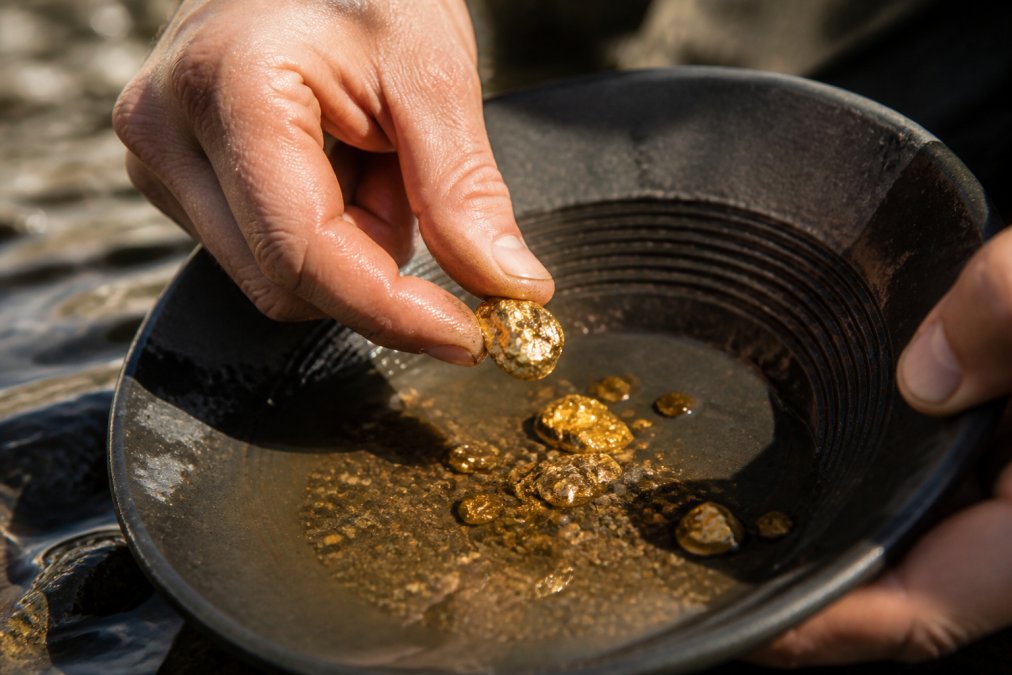 JMBullion Alternative: Raw Gold for Collectors