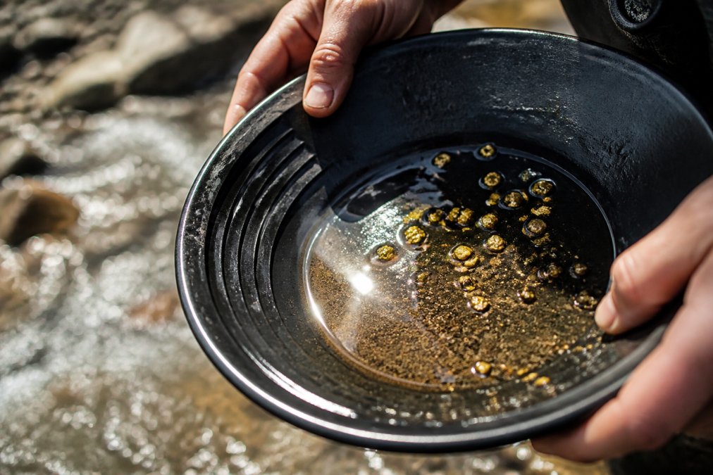 Placer Gold vs Gold Coins: Which to Invest In?